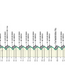 Profile & Route Tre Valli Varesine 2024