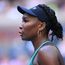 Venus Williams set for grass court return after accepting wildcard for Libema Open 's-Hertogenbosch