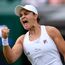 Ashleigh Barty approaching Serena Williams' level of dominance with Australian Open run