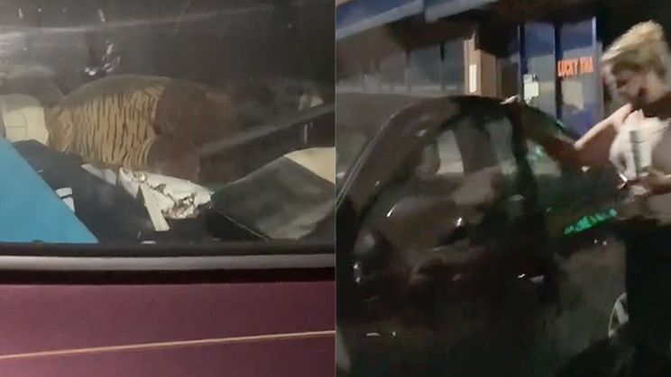 Krioelt van de kakkerlakken in Uber Eats auto in Atlanta