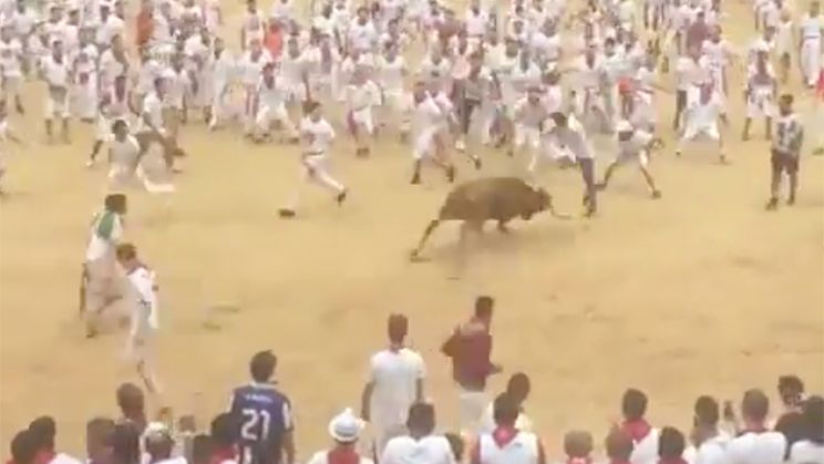 Man doet front flip over aanvallende stier in Pamplona