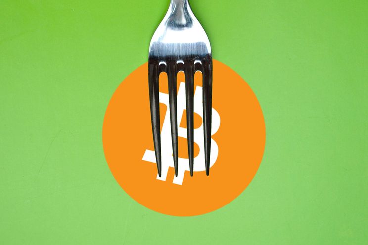 Bitcoin software updates: wat zijn hard en soft forks?