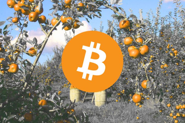 'Bitcoin mining verplaatst zich van China naar VS', aldus asset manager