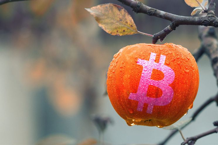 4 statistieken die vandaag belangrijk zijn voor de bitcoin prijs