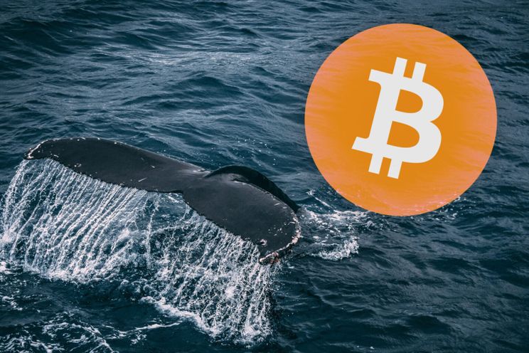 Bitcoin whale veroorzaakt korte koersdaling van 8% op Bitstamp