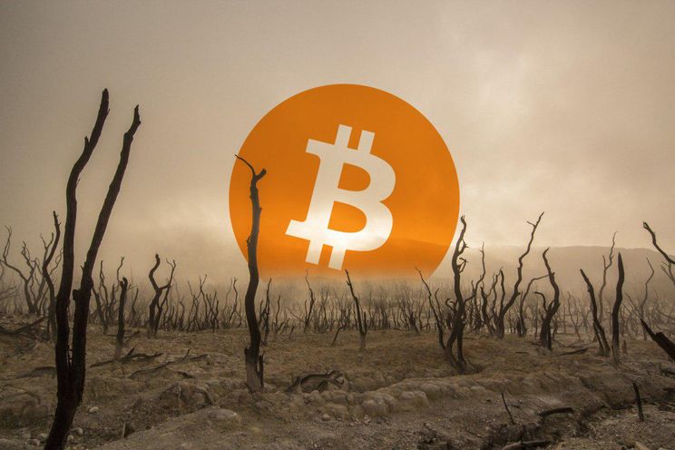 Miljonair die investeerders in Bitcoin ooit 'sukkels' noemde toont interesse