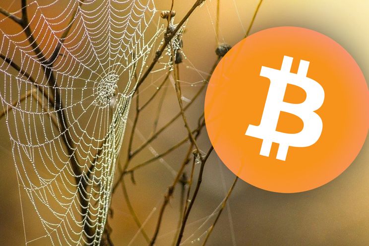 'Bitcoin is het volgende internet', aldus hedgefondsmanager Mike Novogratz
