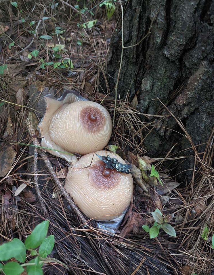 Gewoon een verzameling hilarische foto's #1647