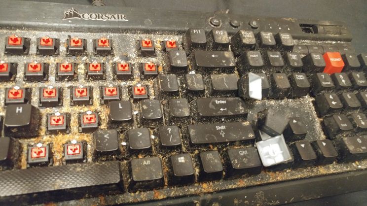 Gewoon een verzameling hilarische foto's #1658