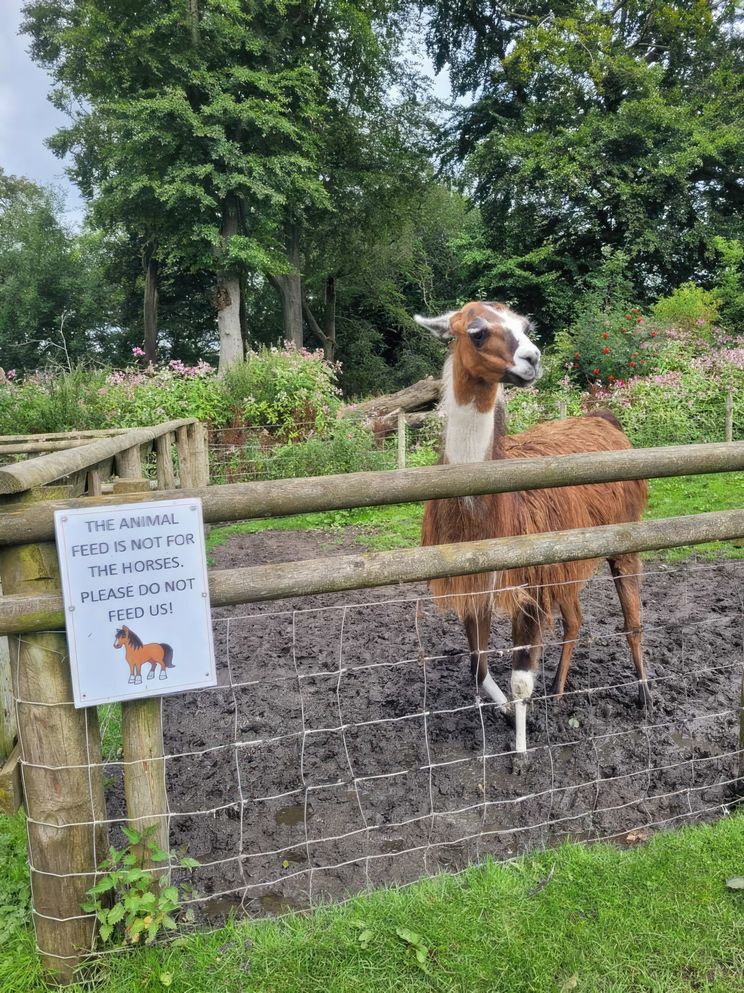 Gewoon een verzameling hilarische foto's #1790