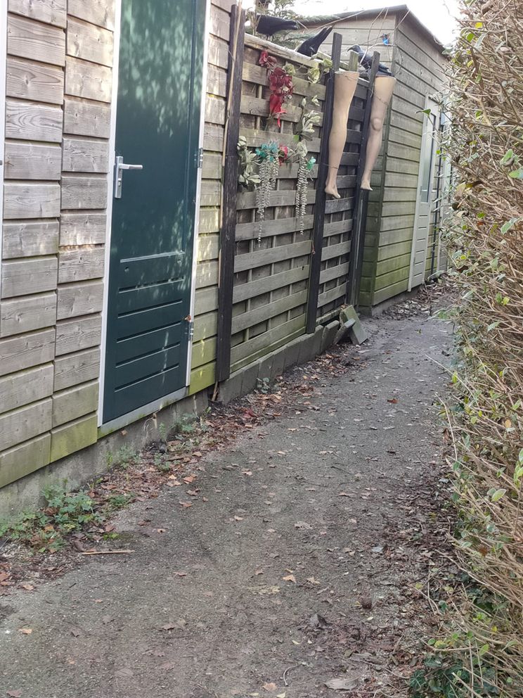 Gewoon een verzameling hilarische foto's #1536
