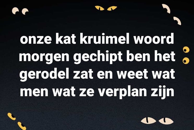 Gewoon een verzameling hilarische foto's #1543