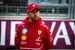 Ondertussen in F1 | Hond van Hamilton ligt in coma