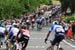 Deelnemers, rugnummers en uitvallers Tour de France 2024 | Groot deel krijgt rustdag in zicht