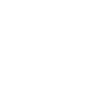 basic fit 1 300x300