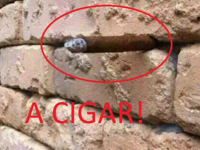 58e68ebf c745 4359 90f1 ac0ab9ed7bef