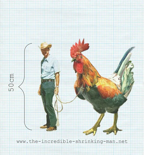 85534 ostrich20dinner20tism2072dpi20rgb