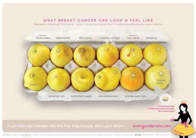 93553780 knowyourlemonsdotcom 12signs