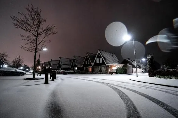 anp 427982487 584x389