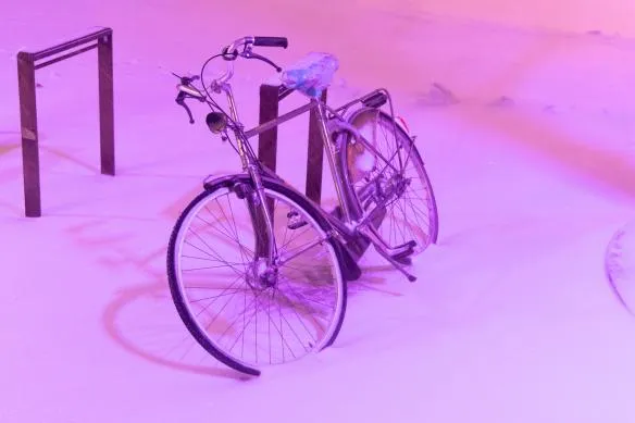 anp 427984368 584x389