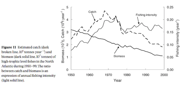 more fishing less fish