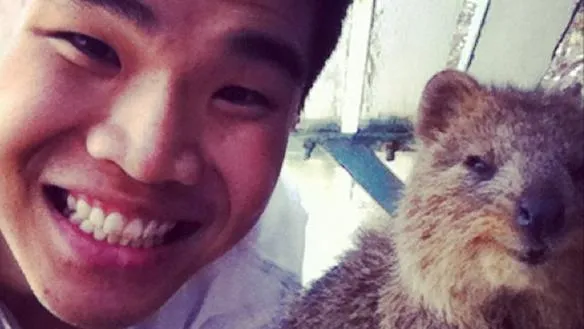 quokkaselfie ig 1 584x329