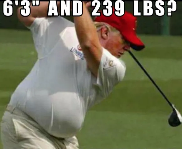 schermafbeelding 2018 01 19 om 063632 584x480