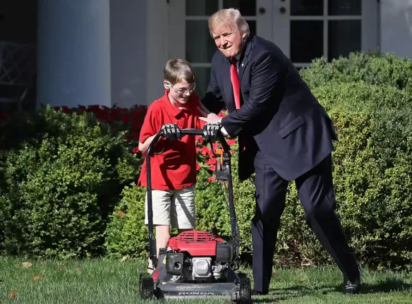 schermafbeelding 2018 01 20 om 082646 584x431