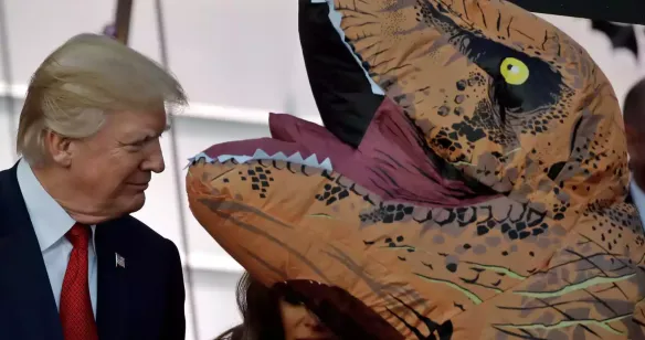 schermafbeelding 2018 01 20 om 082854 584x308