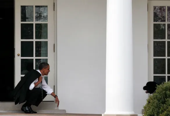 schermafbeelding 2018 04 01 om 180501 584x400