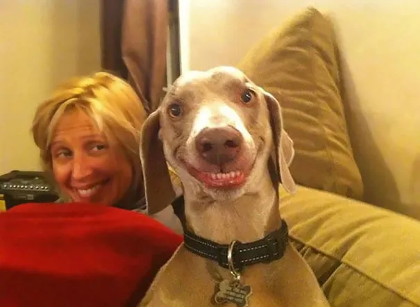smiling animals 14 570e0c28e9db7 605