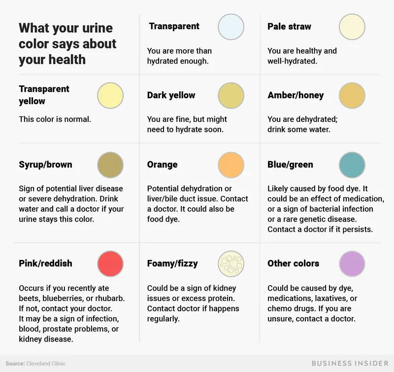 Deze handige infographic toont wat de kleur van je urine zegt over je gezondheid Deze handige infographic toont wat de kleur van je urine zegt over je gezondheid