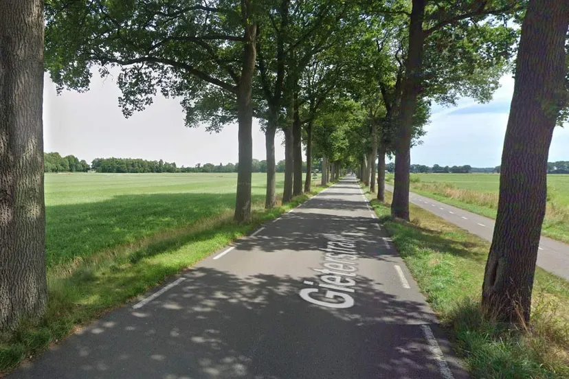 bomenrolde anderen 2