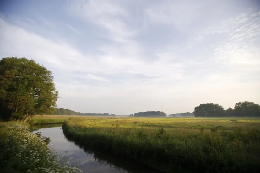 natuur drentsche aa md leoniewiers