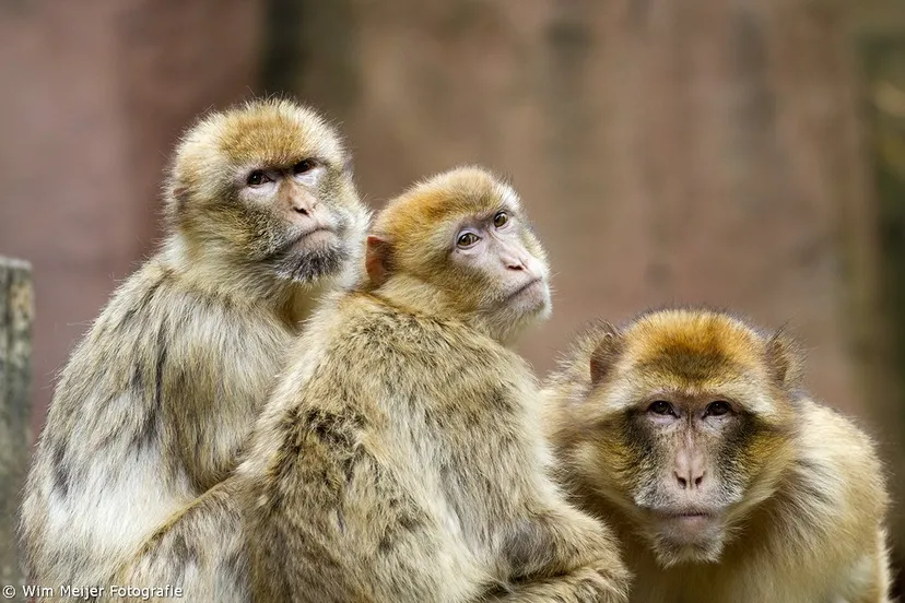 10505159 835323063146314 5476522152541233015 o