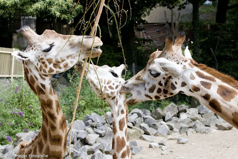 10542719 839488762729744 8774364805916376113 o