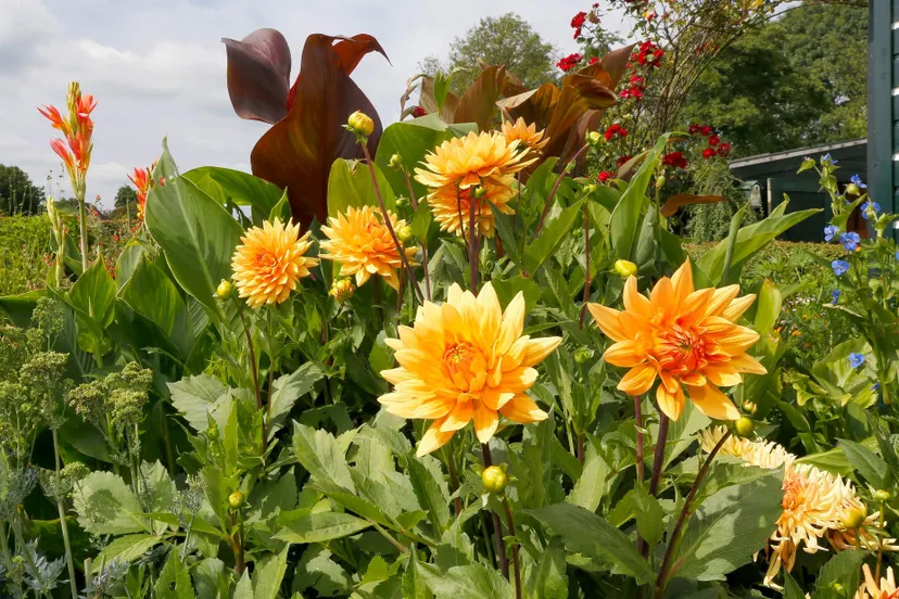 109689747 2665266873712206 3487075976556490329 o 1