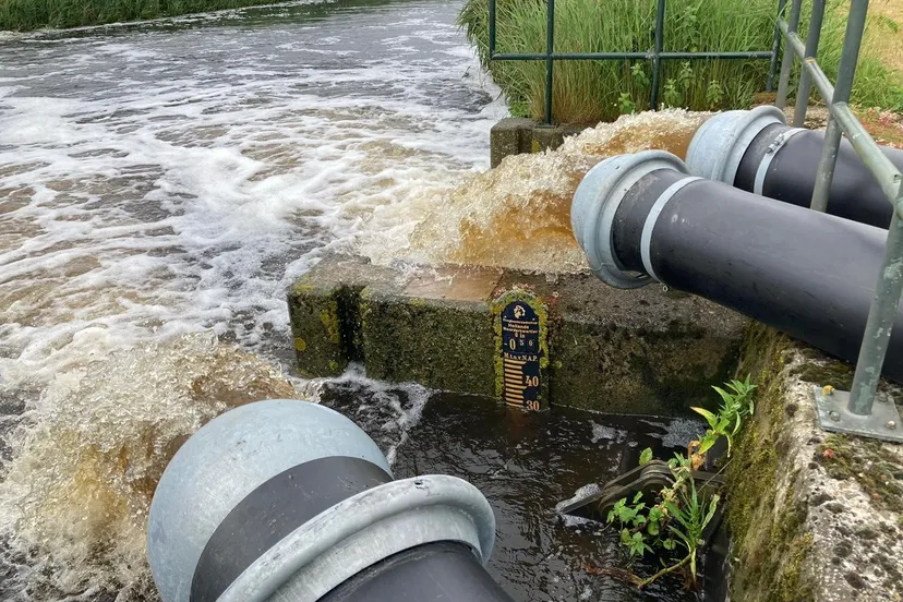 201949186 114582970857441 3763995757517839266 n