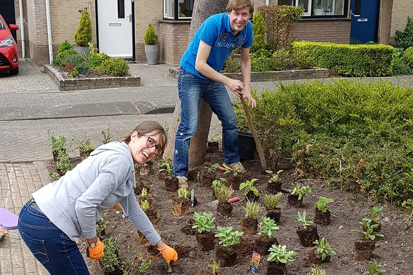 20200425 foto aanleg buurtgroen alkmaar anna blamanstraat