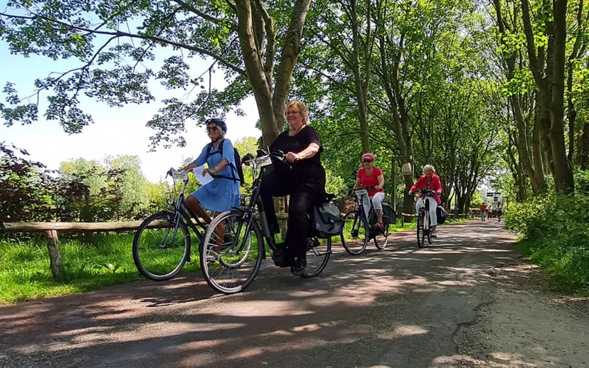 20210616 113357 915x518 1