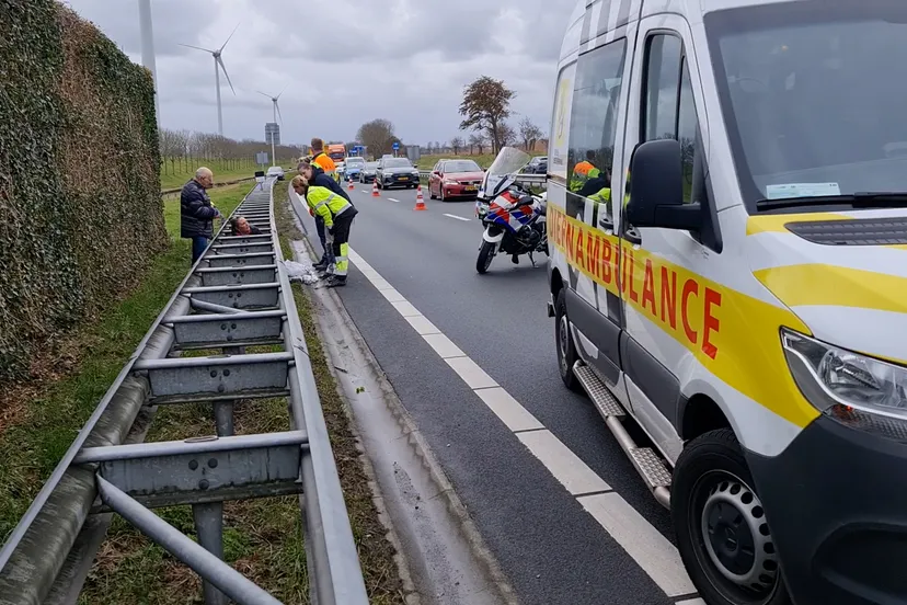 20230307 heerhugowaard hond aangereden op n242 2