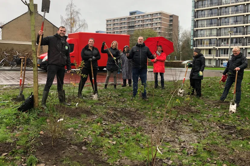 26 nov 2021 groenkapitaalindebuurt alkmaar kl 1