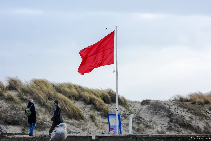 273008457 4710375262395036 4973102367669226110 n