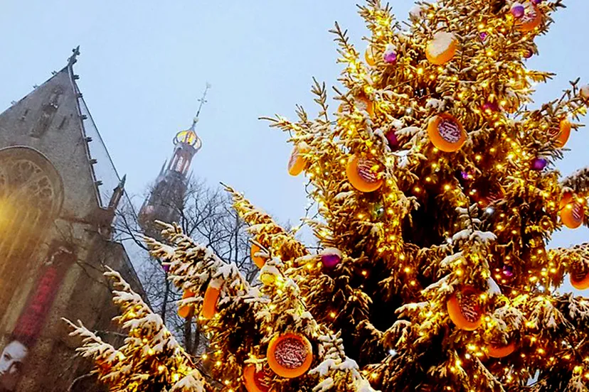 339261 kaaskerstboom alkmaar marketing e4b0c1 large 1574865547