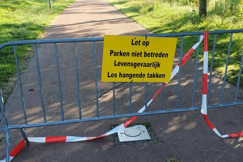 347437982 654173703416527 1978620736522516711 n kopieren