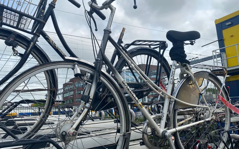 348630426 947173559821329 7195702013256940735 n kopieren 915x518 1