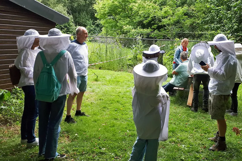 353450924 811840330556752 3736527435597073055 n kopieren