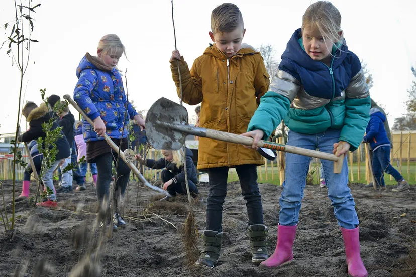 371559 regenboogbos voor durvals d94015 original 1606386111 scaled 1