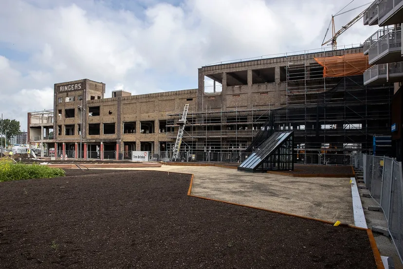 3z1a1232 ringers wim meijer fotografie