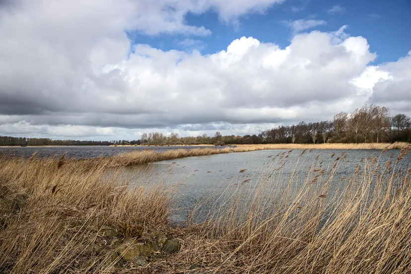 3z1a7724 wim meijer fotografie